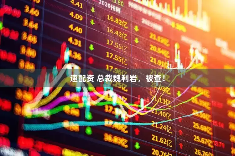 速配资 总裁魏利岩，被查！